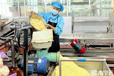 "新"力量賦能發展老友粉產業 南寧市積極助力讓"老友味道"走出去